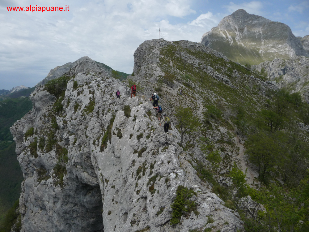 Cresta monte Forato, sullo sfondo la Pania della Croce