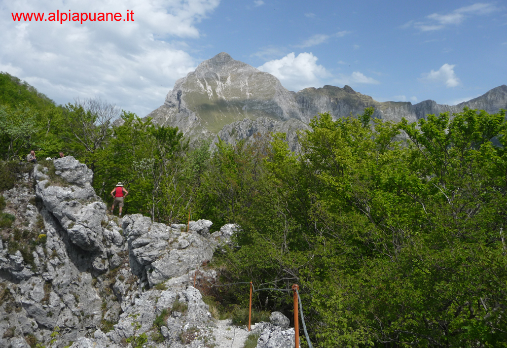 Veduta della Pania della Croce e il Naso dell'Omo Morto dalla ferrata Salvatori per il monte Forato