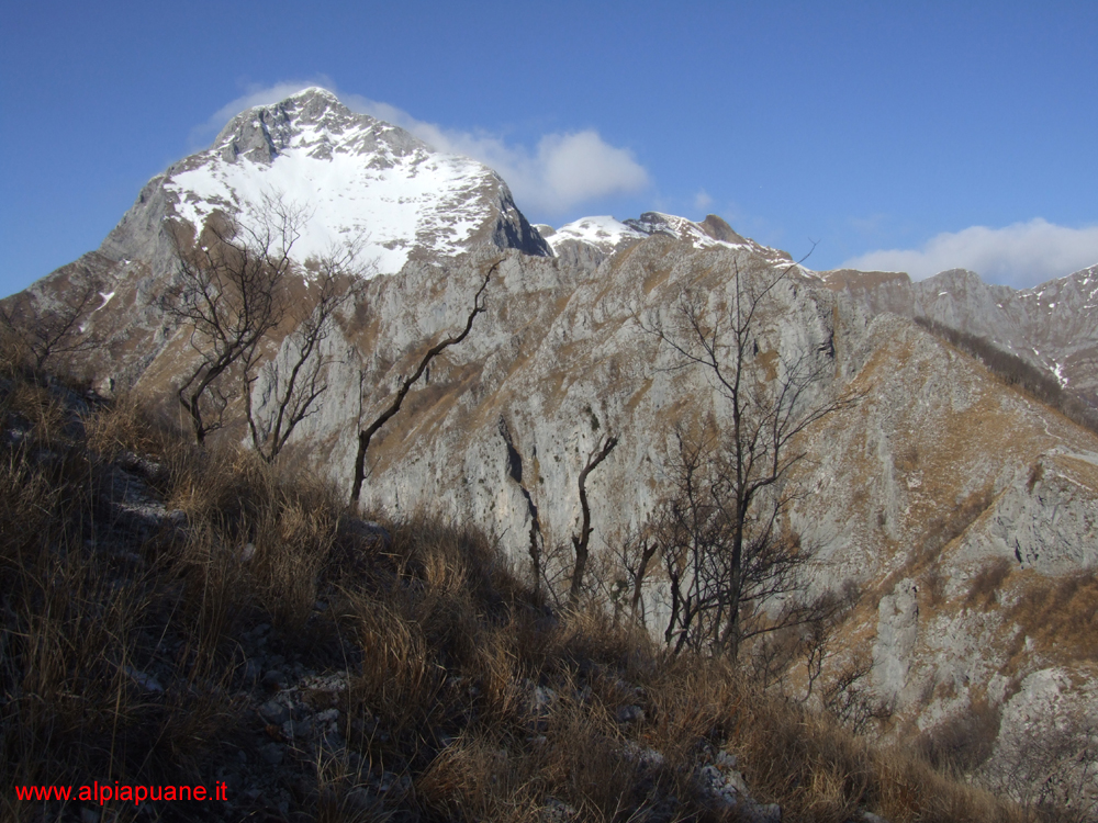 Veduta Pania della Croce dalla cresta del monte Forato