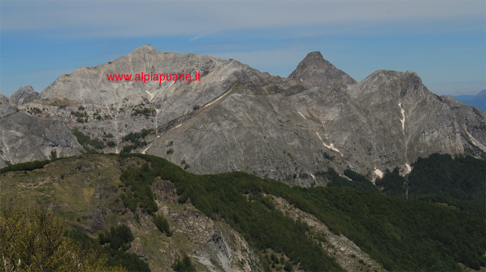 Monte Sumbra, veduta Tambura, Pisanino e Roccandagia